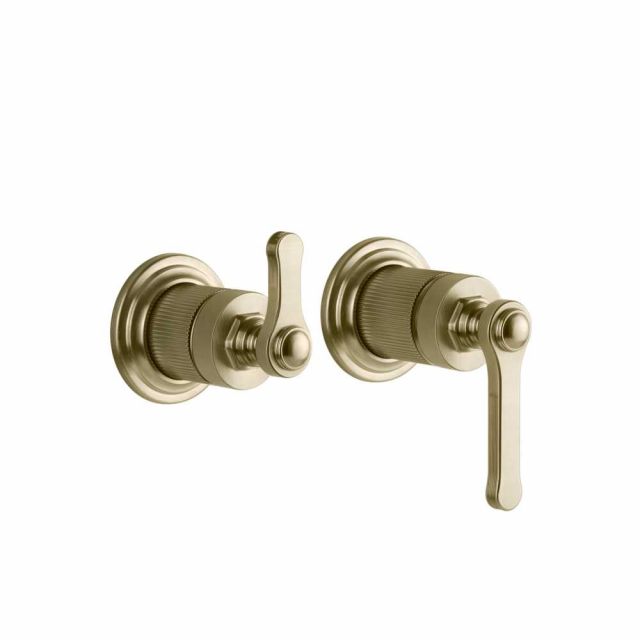 Gessi Venti20 Miscelatore a Parete Doccia 65038+54073-Brass Brushed PVD