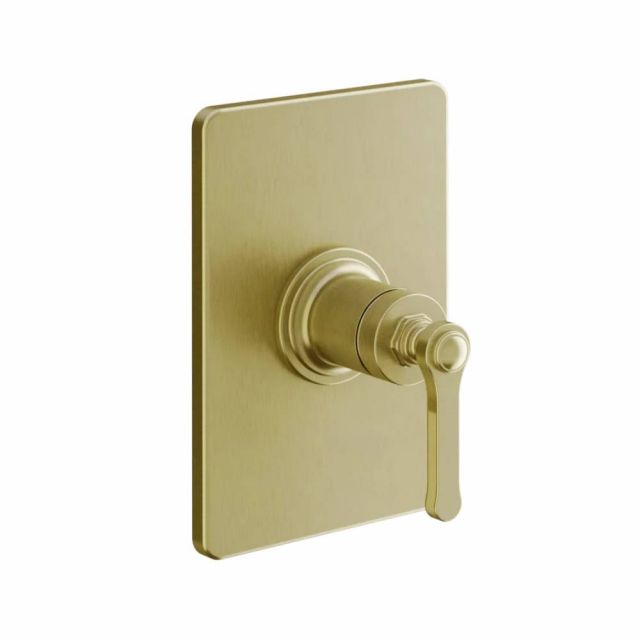 Gessi Venti20 Miscelatore Doccia a Parete 65061+44655-Gold Brushed PVD