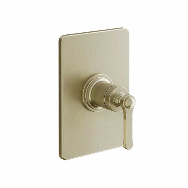 Gessi Venti20 Miscelatore Doccia a Parete 65061+44655-Brass Brushed PVD