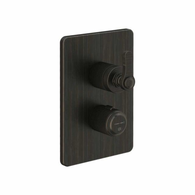 Gessi Venti20 Miscelatore Termostatico Doccia 65137+09269-Aged Bronze