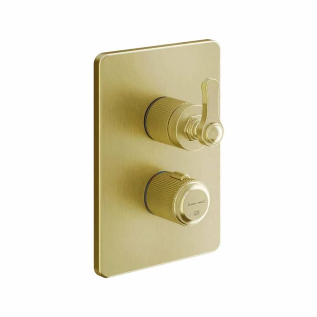 Gessi Venti20 Miscelatore Termostatico Doccia 65137+09269-Gold Brushed PVD