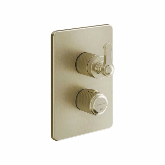 Gessi Venti20 Miscelatore Termostatico Doccia 65137+09269-Brass Brushed PVD